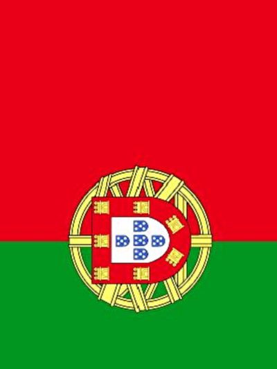 Portuguese_flag.png.png